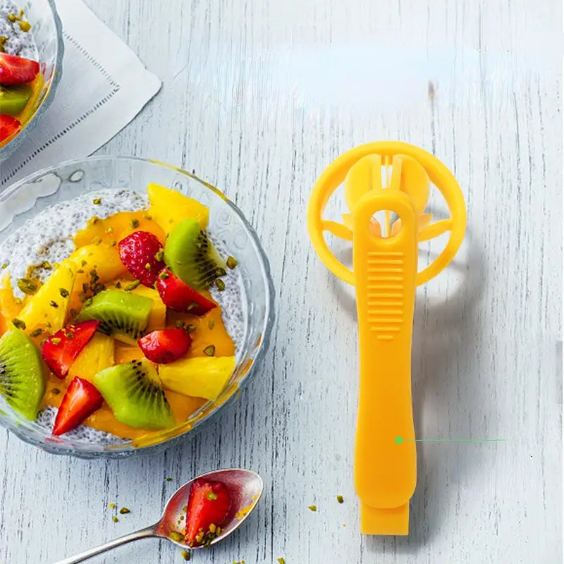 Fruit Slicer and Vegetable Cutter Kitchen Gadget (1pc)